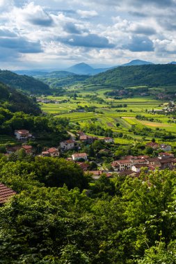 Vipava Vadisi 'nin Slovenya kırsalındaki üzüm bağları ve yeşil alanlar
