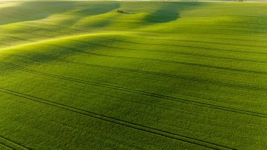 İlkbaharda Moravya ikonik dalgalı tepelerin manzarası