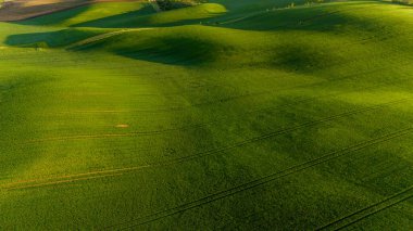 İlkbaharda Moravya ikonik dalgalı tepelerin manzarası