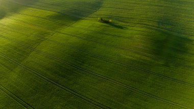Czech kırsalındaki verimli tarım arazileri ve yuvarlanan tepeler insansız hava aracı tarafından ele geçirildi.