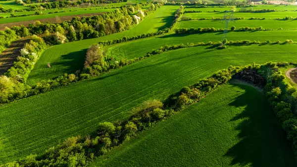 Yeşil Moravya tepeleri ve kırsal kesimlerin insansız hava aracı üstgeçidi