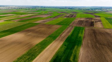 Polonya 'daki renkli tarım arazilerinin hava aracı görüntüsü