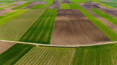 Yukarıdan canlı yama işi tarım arazisi