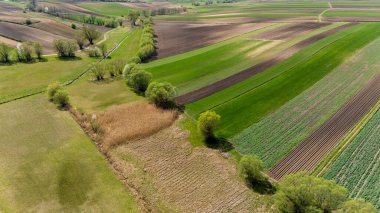 Kırsal yama alanları üzerinde drone görünümü