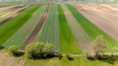 Kırsal yama alanları üzerinde drone görünümü