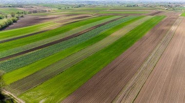 Kırsal yama alanları üzerinde drone görünümü
