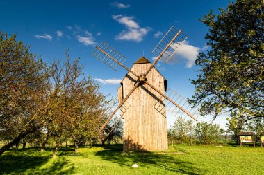 Güney Moravya kırsalındaki geleneksel yel değirmeninin bahar manzarası
