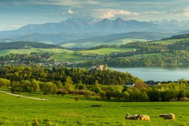 Polonya 'nın En Kutsal Kadın Katolik Kilisesi Owczary' nin Korunması