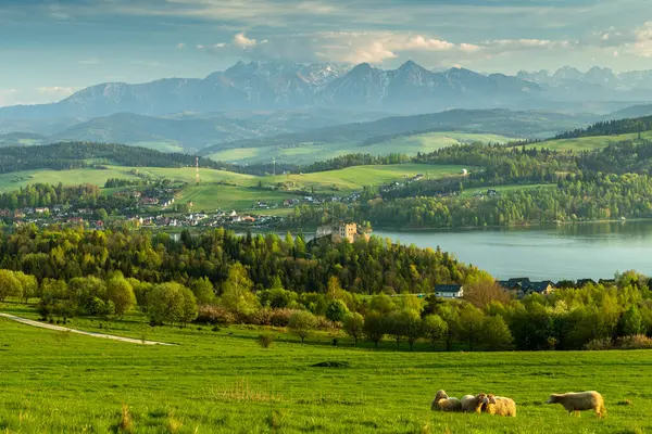 Polonya 'nın En Kutsal Kadın Katolik Kilisesi Owczary' nin Korunması