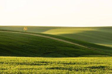 Baharda renkli tarım arazisi