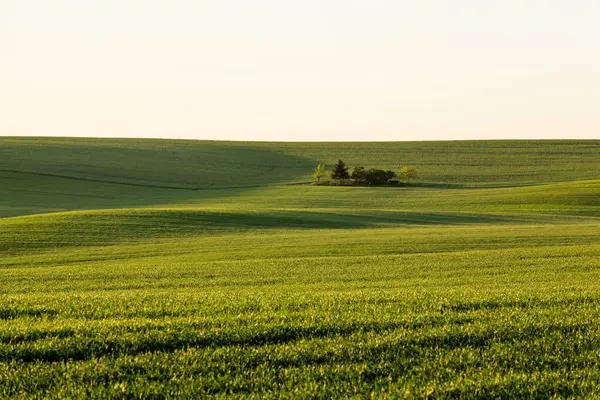 Baharda renkli tarım arazisi