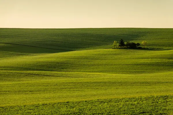 Moravya 'daki tarım arazisinin insansız hava aracı görüntüsü