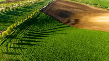 Hasat Alanlarında Renkli Desenler Drone Manzarası Fotoğrafçılığı