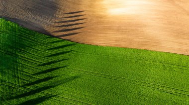 Hasat Alanlarında Renkli Desenler Drone Manzarası Fotoğrafçılığı