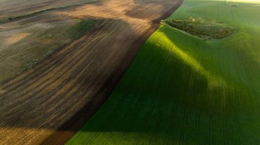 Hasat Alanlarında Renkli Desenler Drone Manzarası Fotoğrafçılığı
