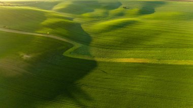 Hasat Alanlarında Renkli Desenler Drone Manzarası Fotoğrafçılığı