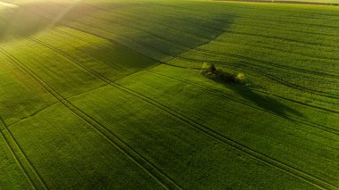 Hasat Alanlarında Renkli Desenler Drone Manzarası Fotoğrafçılığı