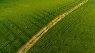 Hasat Alanlarında Renkli Desenler Drone Manzarası Fotoğrafçılığı
