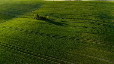 Hasat Alanlarında Renkli Desenler Drone Manzarası Fotoğrafçılığı
