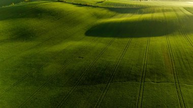 Bahar Ekinleri ve Çayırları Hava Aracı Görünümü