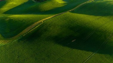 Bahar Ekinleri ve Çayırları Hava Aracı Görünümü