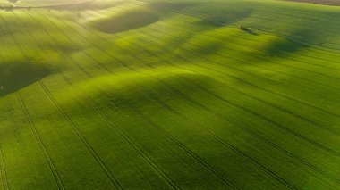 Bahar Ekinleri ve Çayırları Hava Aracı Görünümü