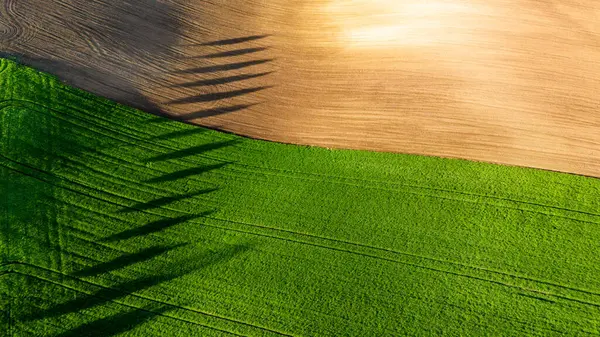 Hasat Alanlarında Renkli Desenler Drone Manzarası Fotoğrafçılığı