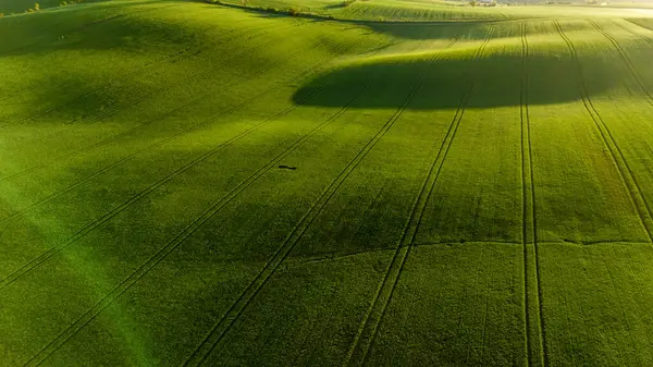 Hasat Alanlarında Renkli Desenler Drone Manzarası Fotoğrafçılığı