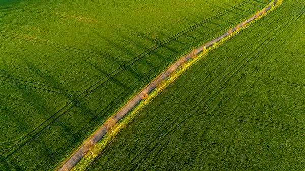 Hasat Alanlarında Renkli Desenler Drone Manzarası Fotoğrafçılığı