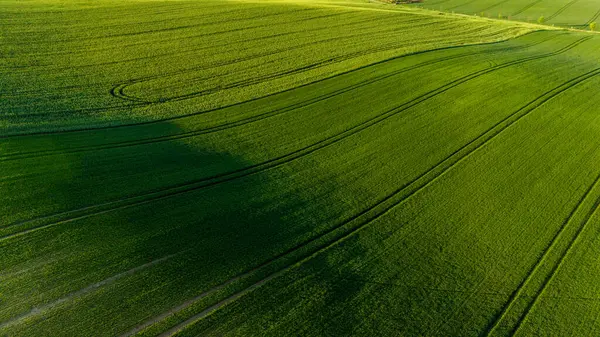 Hasat Alanlarında Renkli Desenler Drone Manzarası Fotoğrafçılığı