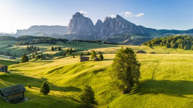 Alpe di Siusi Meadows 'da Altın Gün Doğumu, Dolomitler Dağları, İtalya.