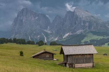 Kuzey İtalya 'daki Alpe di Siusi Çayırları' nın Alp manzarası
