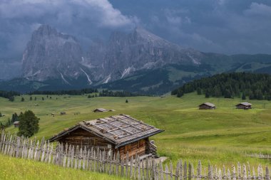 İtalyan Alplerindeki Alpe di Siusi otlaklarının yaz manzarası