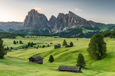 Kuzey İtalya 'daki Alpe di Siusi Çayırlarında Huzurlu Sabah Işığı