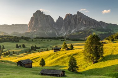 İtalyan Alplerindeki Alpe di Siusi Meadows 'da Sabah Işığı