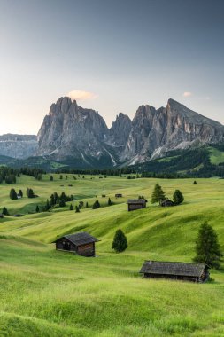Kuzey İtalya 'daki Alpe di Siusi Çayırlarında Huzurlu Sabah Işığı