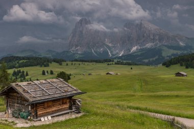 İtalya 'nın Dolomitleri' ndeki Alpe di Siusi 'deki Huzurlu Çayırlar