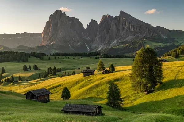 İtalya 'da Alpe di Siusi' deki Rolling Pasture Hills 'te Gün Doğumu