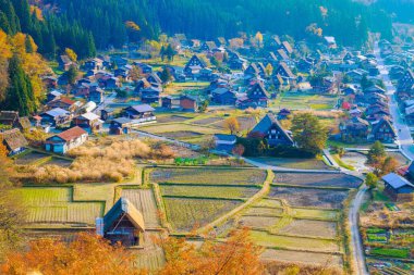 Japonya 'nın Shirakawa köyündeki ünlü çiftlik evleri.