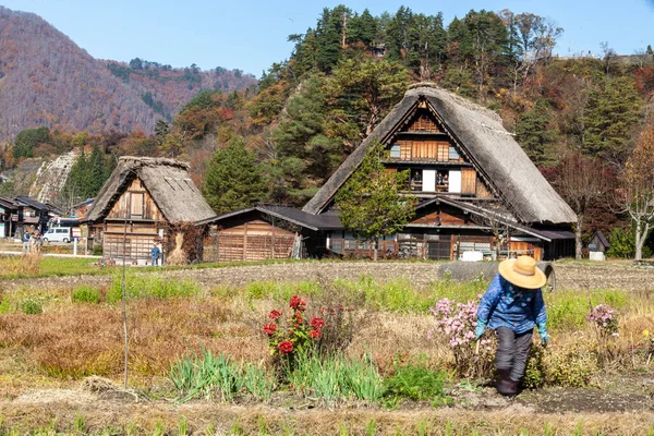 Famose Case Coloniche Nel Villaggio Shirakawa Giappone — Foto Stock