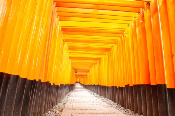 Fushimi Inari Torii Japan Duidelijk Beeld Zonder Formulering — Stockfoto