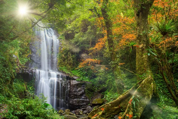 Der Yunsen Wasserfall Herbst Drei Schluchten New Taipei City Taiwan — Stockfoto
