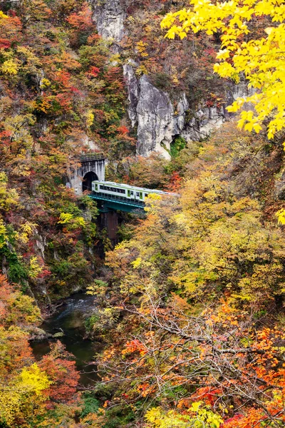 Красивый Вид Осенней Листвы Ущелье Наруко Японии — стоковое фото