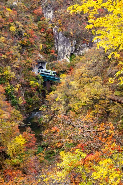 Красивый Вид Осенней Листвы Ущелье Наруко Японии — стоковое фото