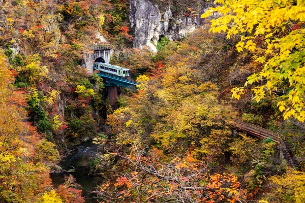 Follaje Otoño Niza Vista Naruko Gorge Japón — Foto de Stock