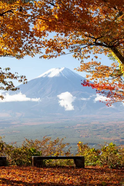 stock image The Beautiful landscape of mountain fuji around maple leaf tree in autumn season