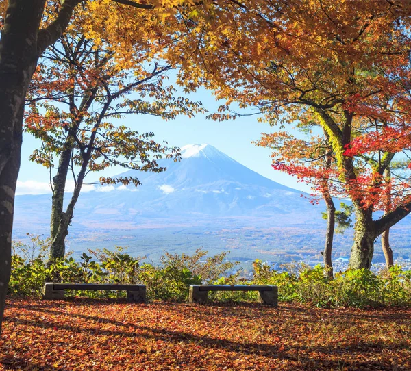 Beau Paysage Fuji Montagne Autour Érable Automne — Photo