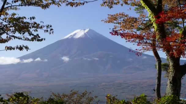 Sonbahar Mevsiminde Akçaağaç Yaprağının Etrafındaki Fuji Dağı Nın Güzel Manzarası — Stok video