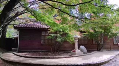 Fu Shou Shan Çiftliği, Tayvan - 17 Kasım 2011: Tayvan 'da yetişen tatlı ve organik erikli ve renkli akçaağaçlı güzel dağ