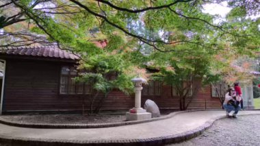 Fu Shou Shan Çiftliği, Tayvan - 17 Kasım 2011: Tayvan 'da yetişen tatlı ve organik erikli ve renkli akçaağaçlı güzel dağ